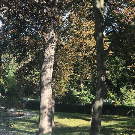 Domizil Eutschuetzgruen Daire Bannewitz Dış mekan fotoğraf