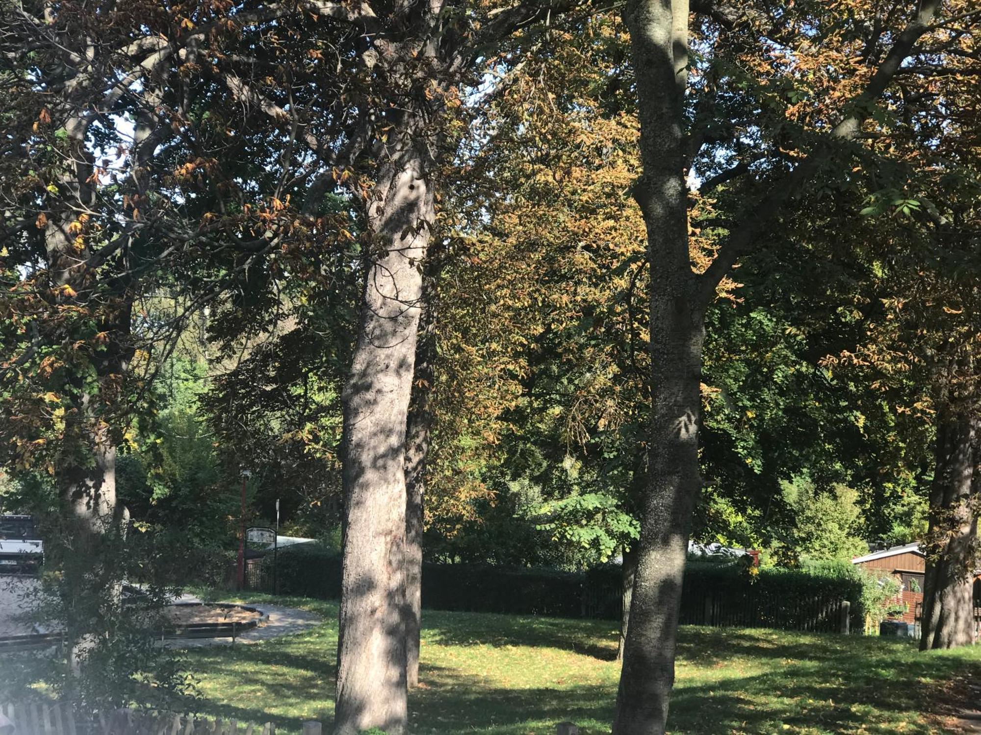 Domizil Eutschuetzgruen Daire Bannewitz Dış mekan fotoğraf